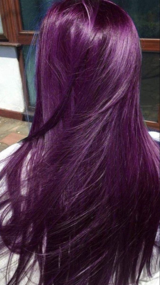 CHAMPU CHAO CANAS